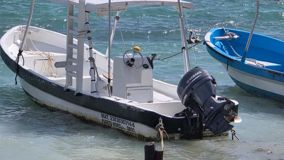 Puerto Morelos 2026 15